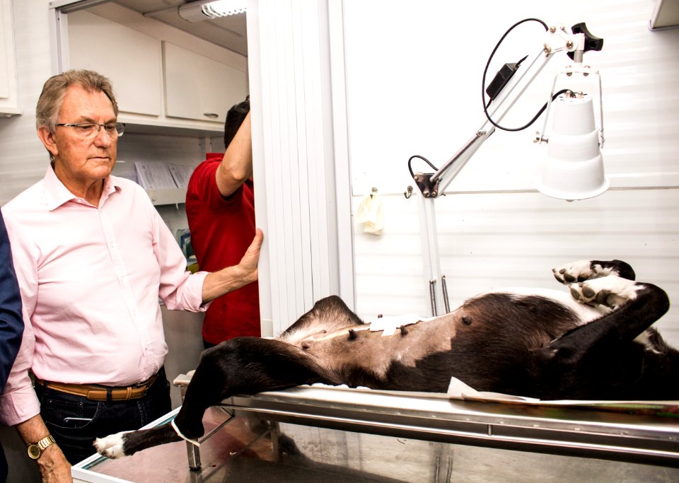 04.12.2019 - Vice-prefeito Idemar Barz visita ao castramóvel de Rio Grande na Coordenadoria Municipal de Defesa dos Direitos Animais - Foto Michel Corvello