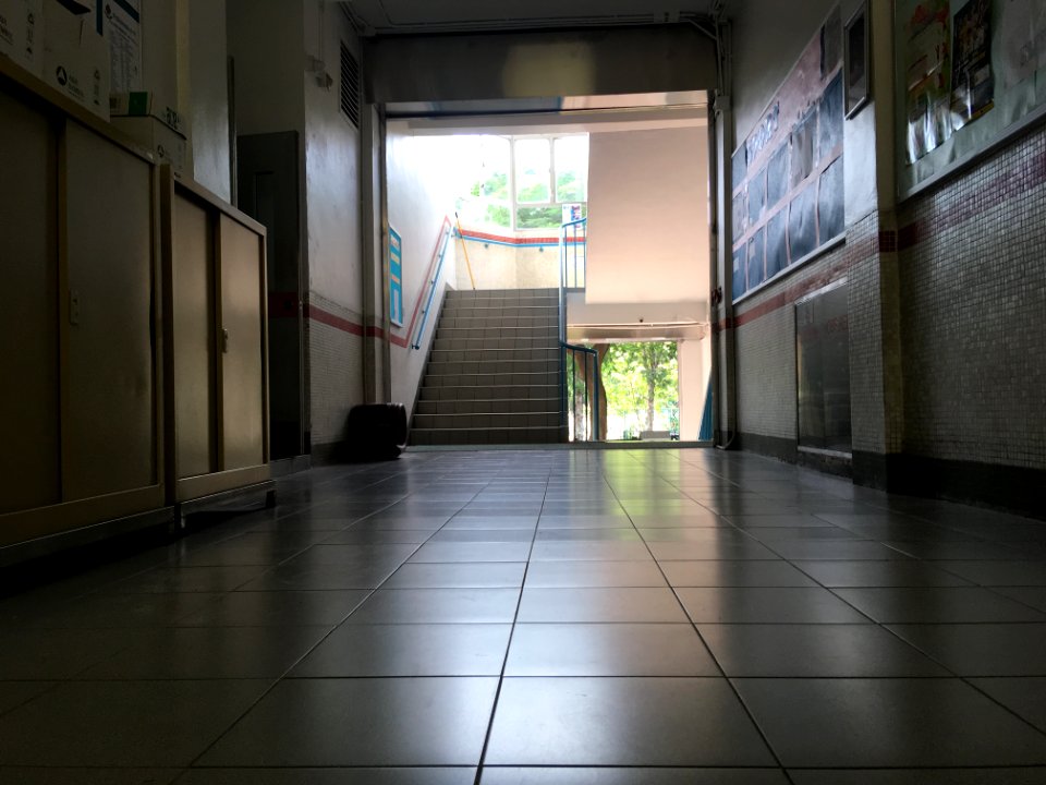 IMG 1445