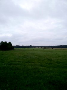 Schleswig-Holstein Feld