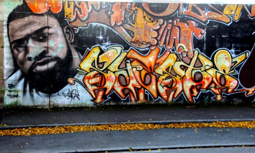 Nantes Graff 2013 (45)