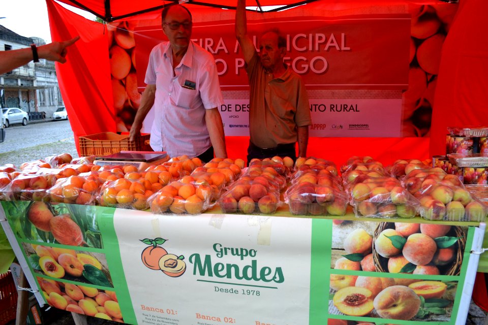 22.11.2019 - SDR - Feira do Pêssego - Foto Janine Tomberg