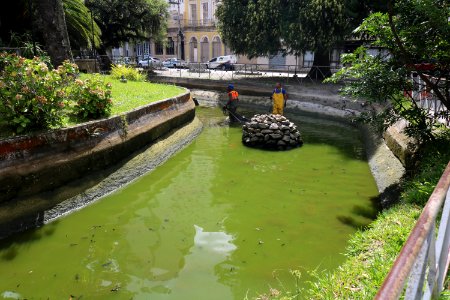 07.02.2020 - Limpeza Lago da Pça Coronel Pedro Osório - Foto Janine Tomberg