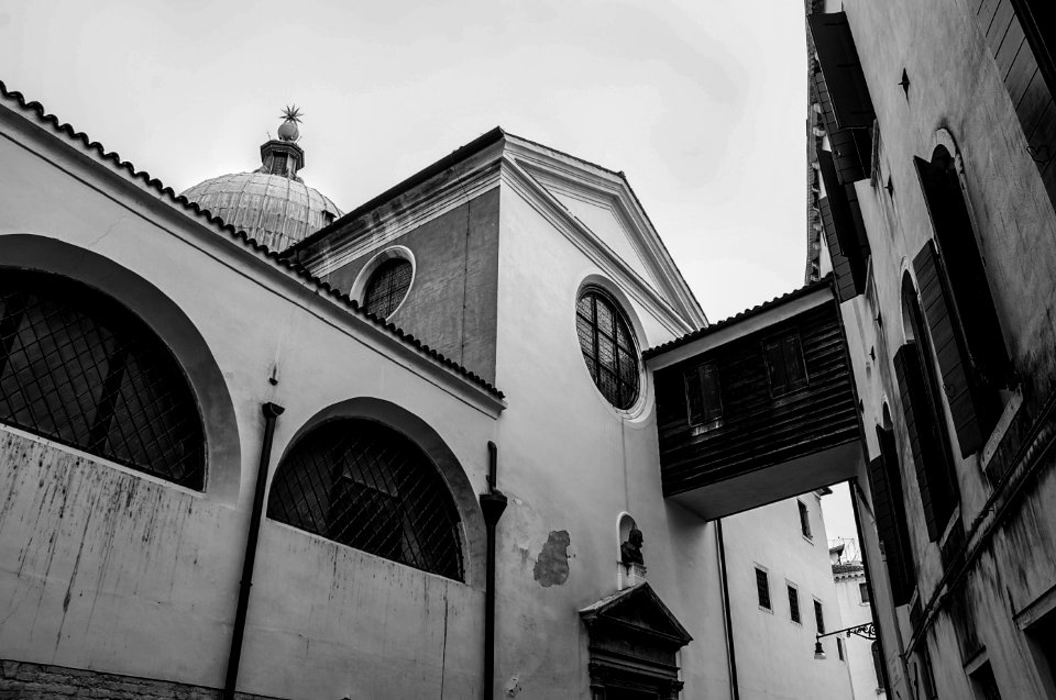 Venice by Arina Ertman.