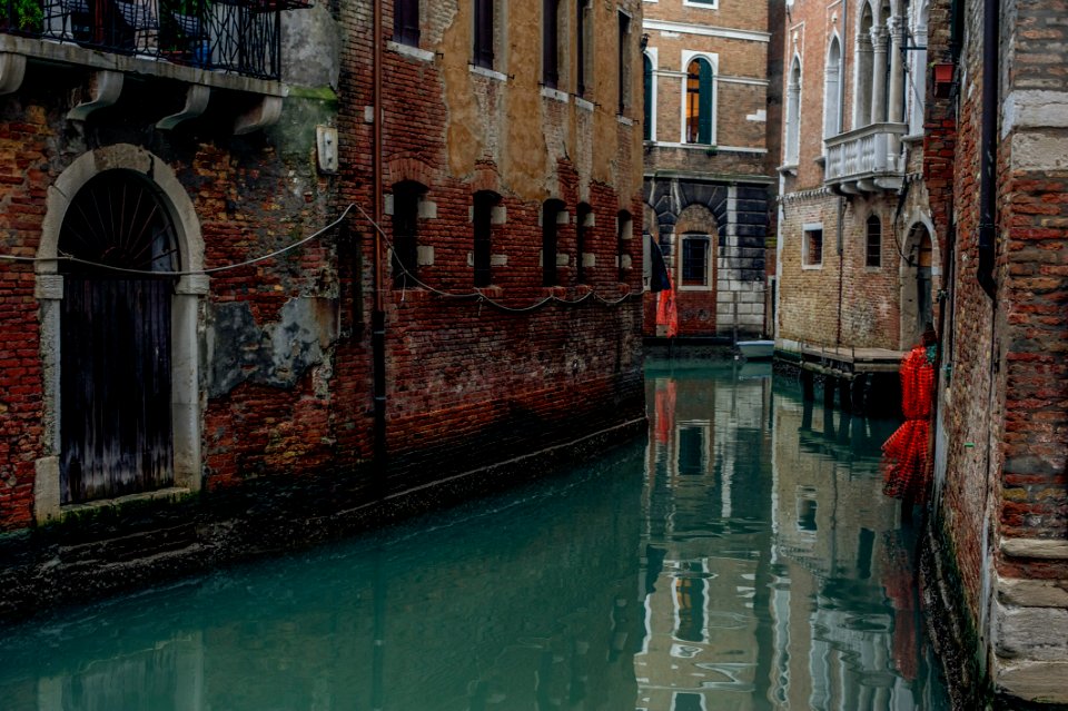 Venice by Arina Ertman.