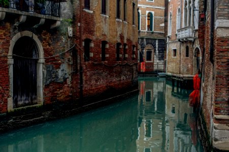 Venice by Arina Ertman.