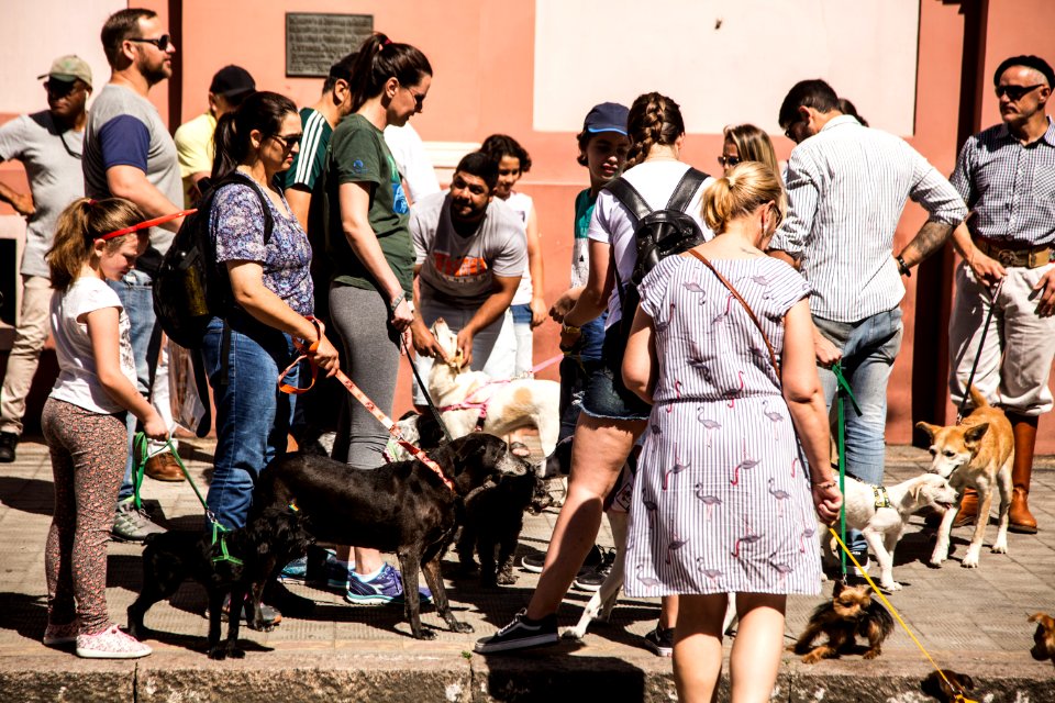 07.12.2019 - Cãominhada da 2ª Semana de Proteção Animal - Foto: Gustavo Vara