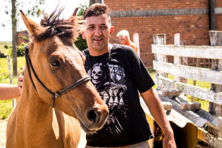 19.11.2019 - 5ª edição do projeto Adoção de cavalos - Foto Michel Corvello