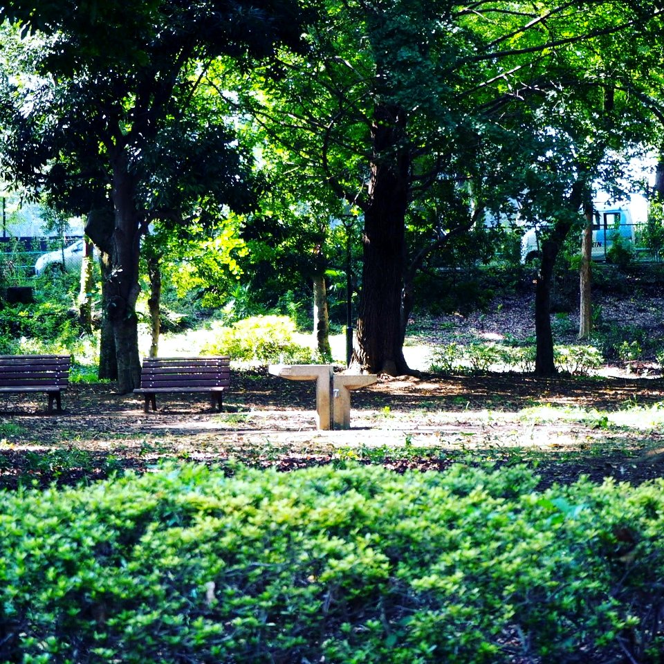 Park