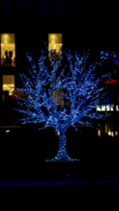 Eisbaum Weihnachtsmarkt