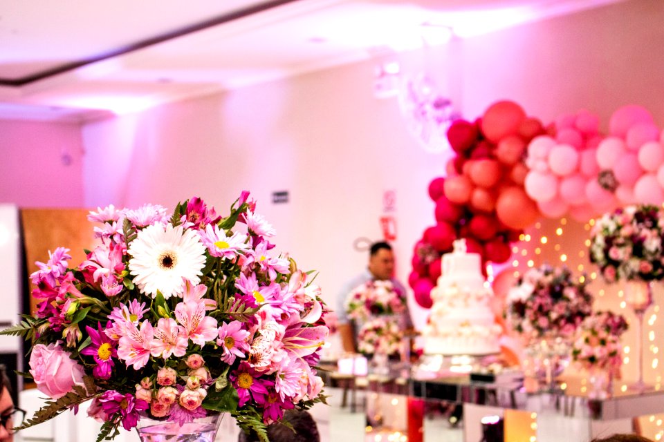 29.09.2019 - 2º Baile Coletivo de Debutantes - Foto Michel Corvello