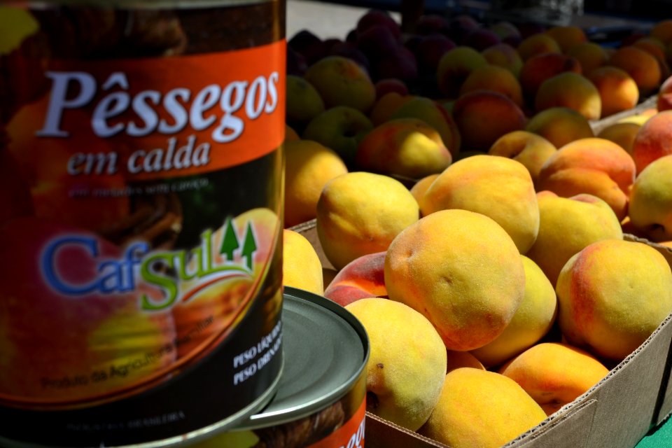 29.11.2019 - Feira do Pêssego - Foto Janine Tomberg