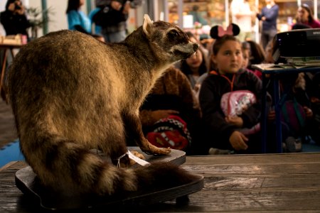23.09.2019 Saber Ambiental no Mercado Fotos: Michel Corvello