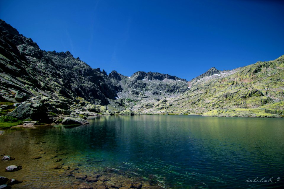 Laguna Grande de Gredos