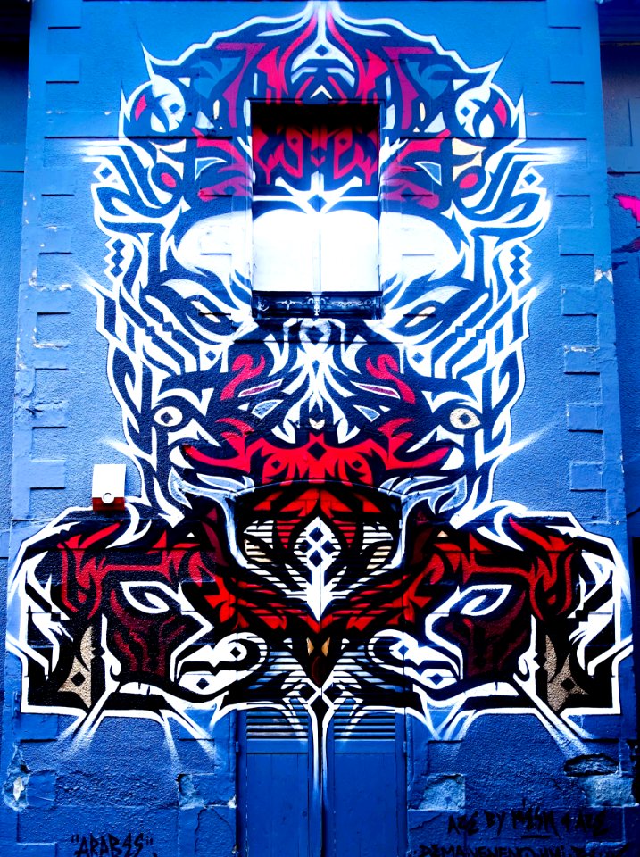 DSC00571