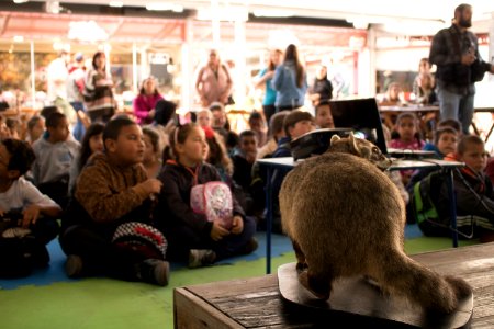 23.09.2019 Saber Ambiental no Mercado Fotos: Michel Corvello