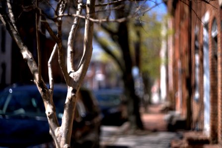 Helios point of view of Baltimore