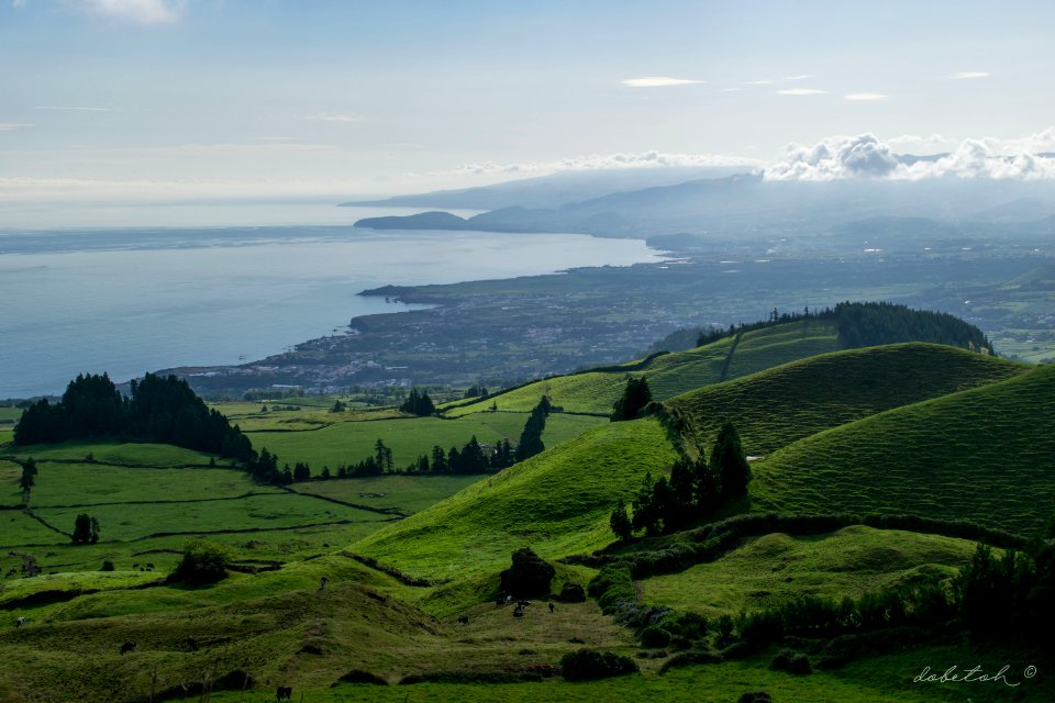 Green, green and green
