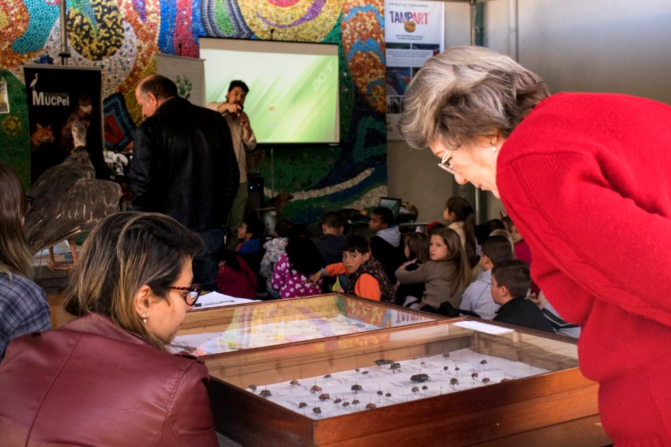 23.09.2019 Saber Ambiental no Mercado Fotos: Michel Corvello