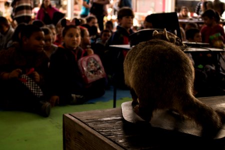 23.09.2019 Saber Ambiental no Mercado Fotos: Michel Corvello