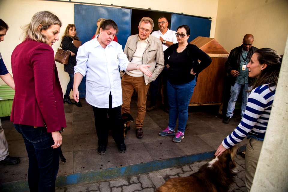 28.08.2019 - Prefeita Paula Mascarenhas em visita ao Canil Municipal, a convite do Comupa - Foto: Gustavo Vara
