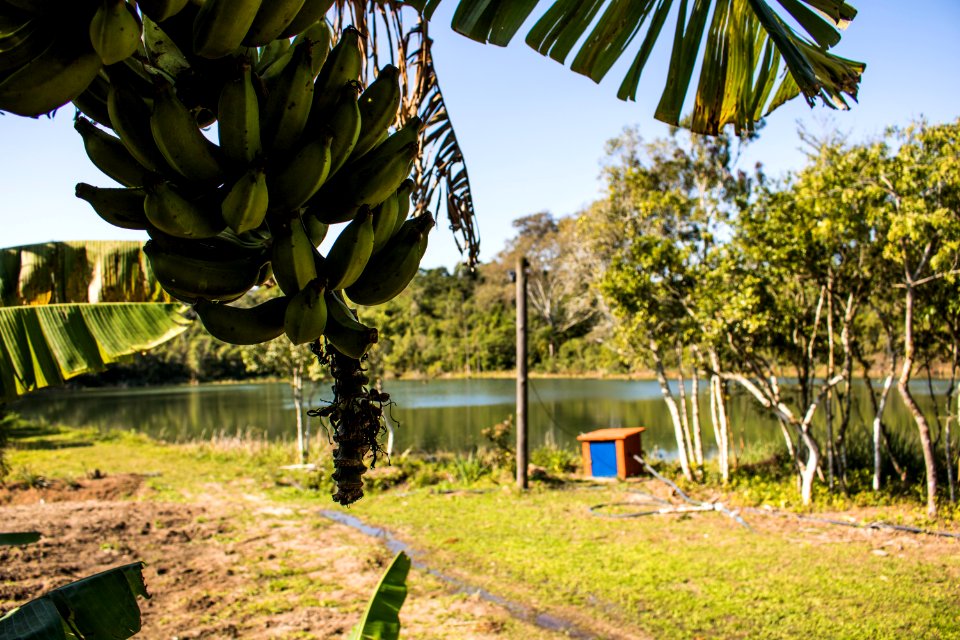07.08.2019 - Início do turno integral na Emef Maria Joaquina - Foto Michel Corvello
