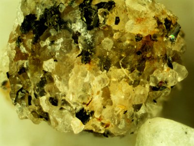 Well Rock 40x 02