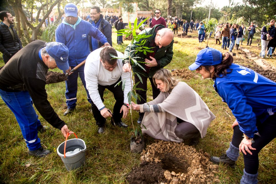 16.08.2019 - Prefeita Paula Mascarenhas participa do plantio de 250 mudas de árvores na Barragem Santa Bárbara - Foto: Gustavo Vara