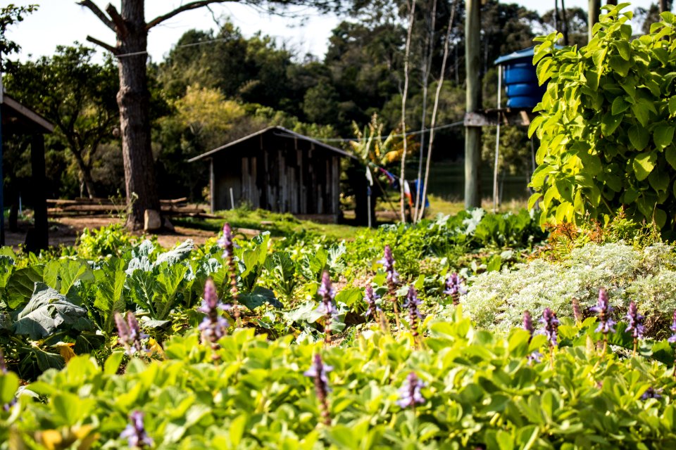 07.08.2019 - Início do turno integral na Emef Maria Joaquina - Foto Michel Corvello