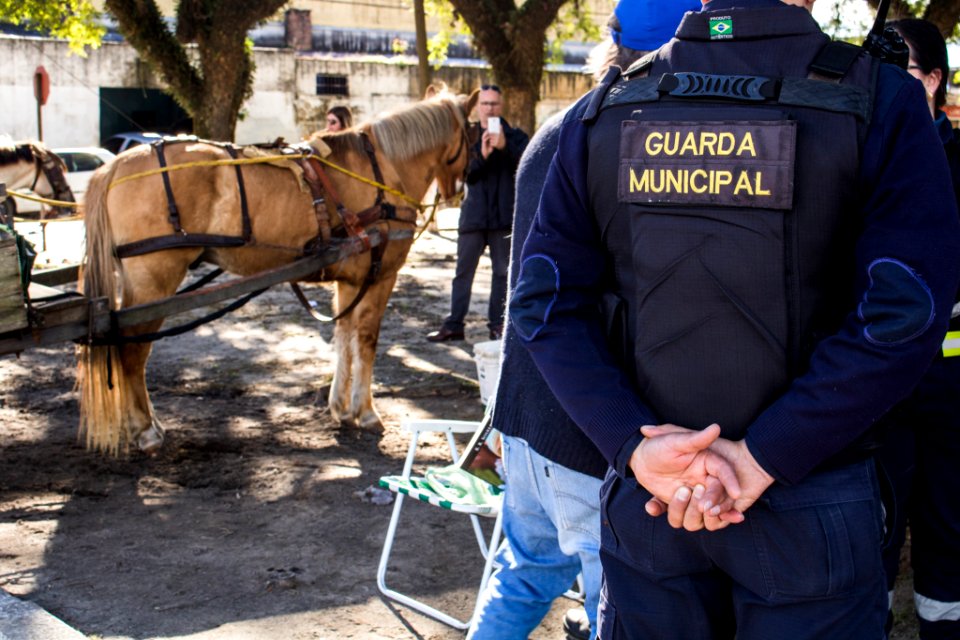 31.07.2019 - Blitz de maus tratos aos cavalos - Foto Michel Corvello