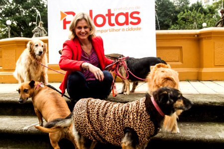 21.05.2019 - Prefeita Paula Mascarenhas realiza o lançamento do Selo Empresa Amiga dos Animais - Foto: Gustavo Vara