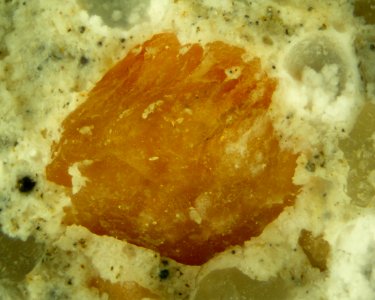 Limestone conglomerate 100x