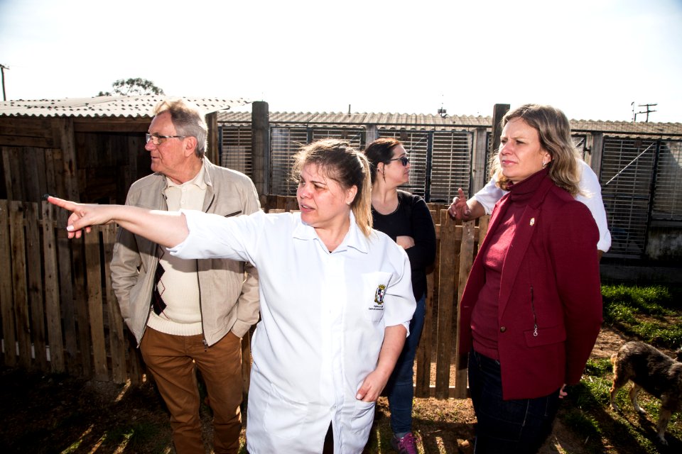 28.08.2019 - Prefeita Paula Mascarenhas em visita ao Canil Municipal, a convite do Comupa - Foto: Gustavo Vara