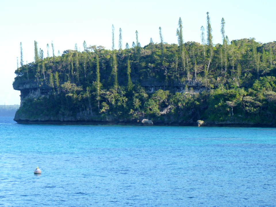 P1110551