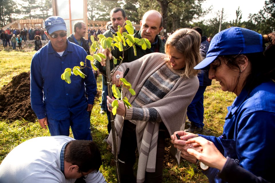 16.08.2019 - Prefeita Paula Mascarenhas participa do plantio de 250 mudas de árvores na Barragem Santa Bárbara - Foto: Gustavo Vara