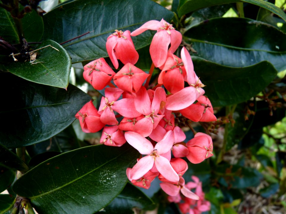 P1110611