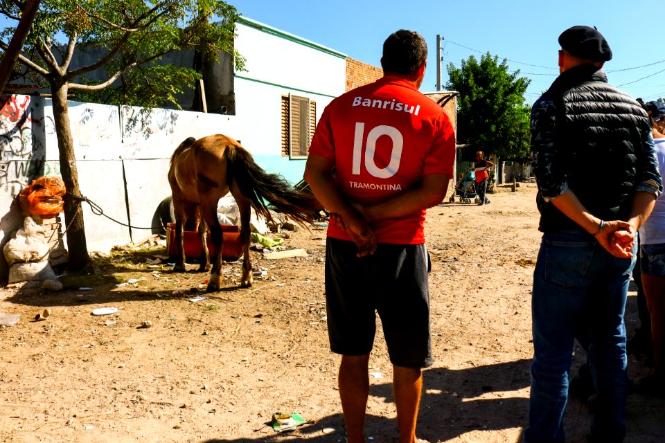 15.03.2019 - Blitz de Apreensão de Cavalos - Foto Michel Corvello