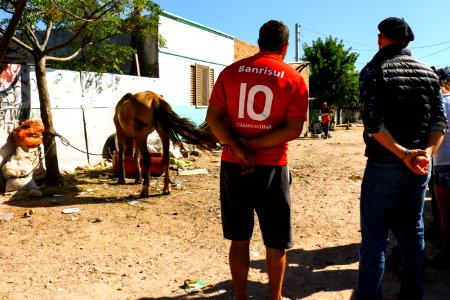 15.03.2019 - Blitz de Apreensão de Cavalos - Foto Michel Corvello