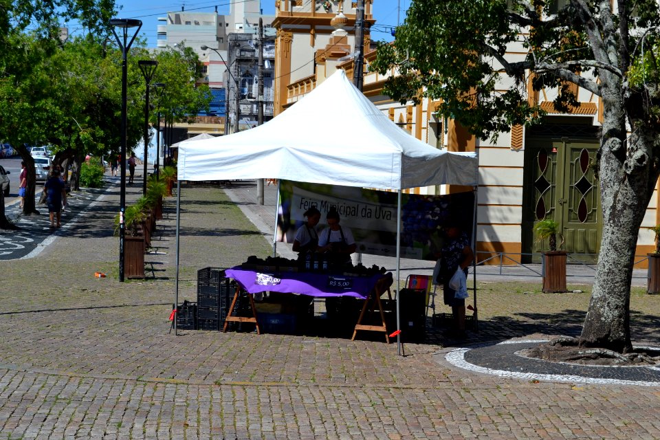 29.01.2019 - SDR - Feira da Uva  Mercado Central-Foto Janine Tomberg (1)