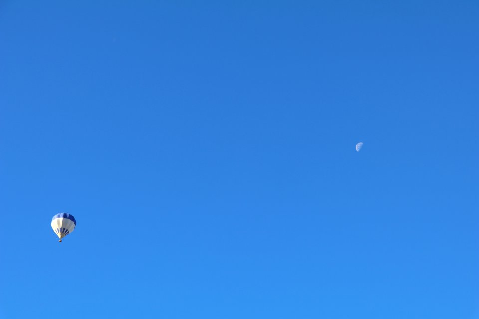 IMG 8696