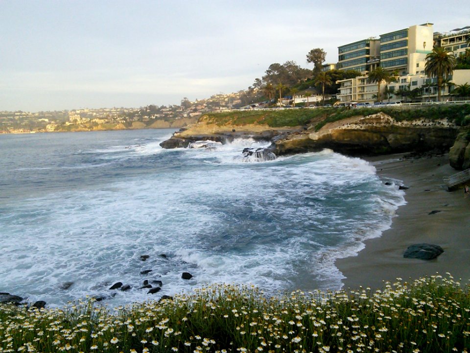 La Jolla Cove photo