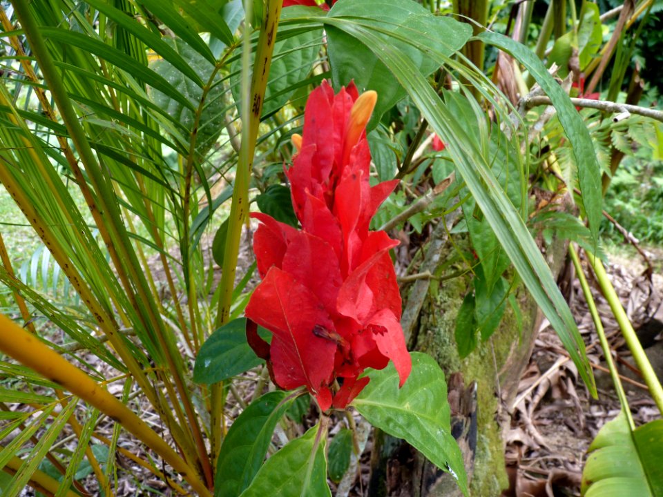 P1110602