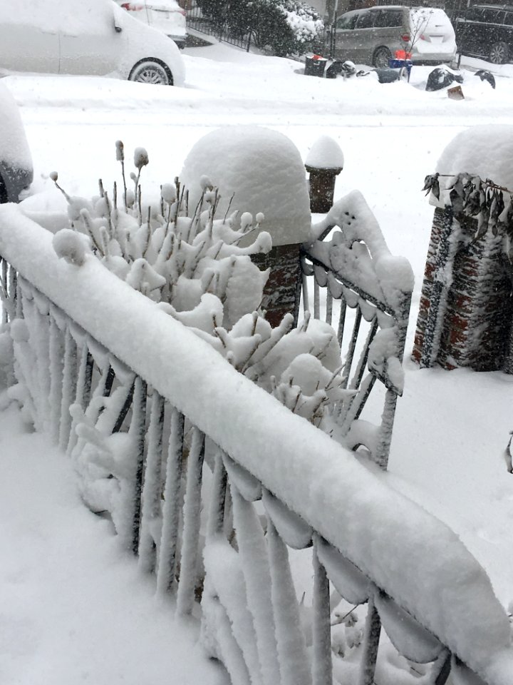 Snow landscape photo