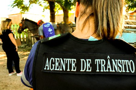 15.03.2019 - Blitz de Apreensão de Cavalos - Foto Michel Corvello