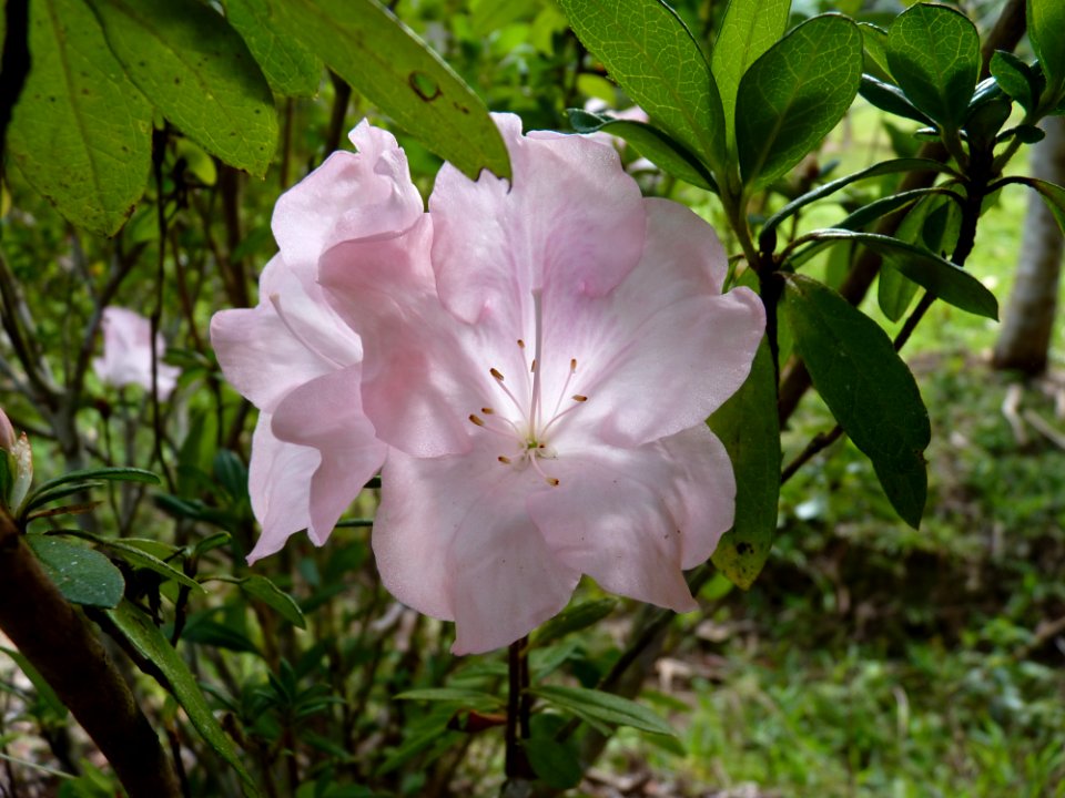 P1110605