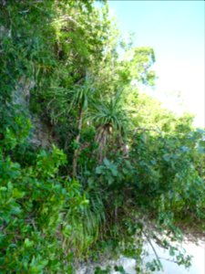 P1110301