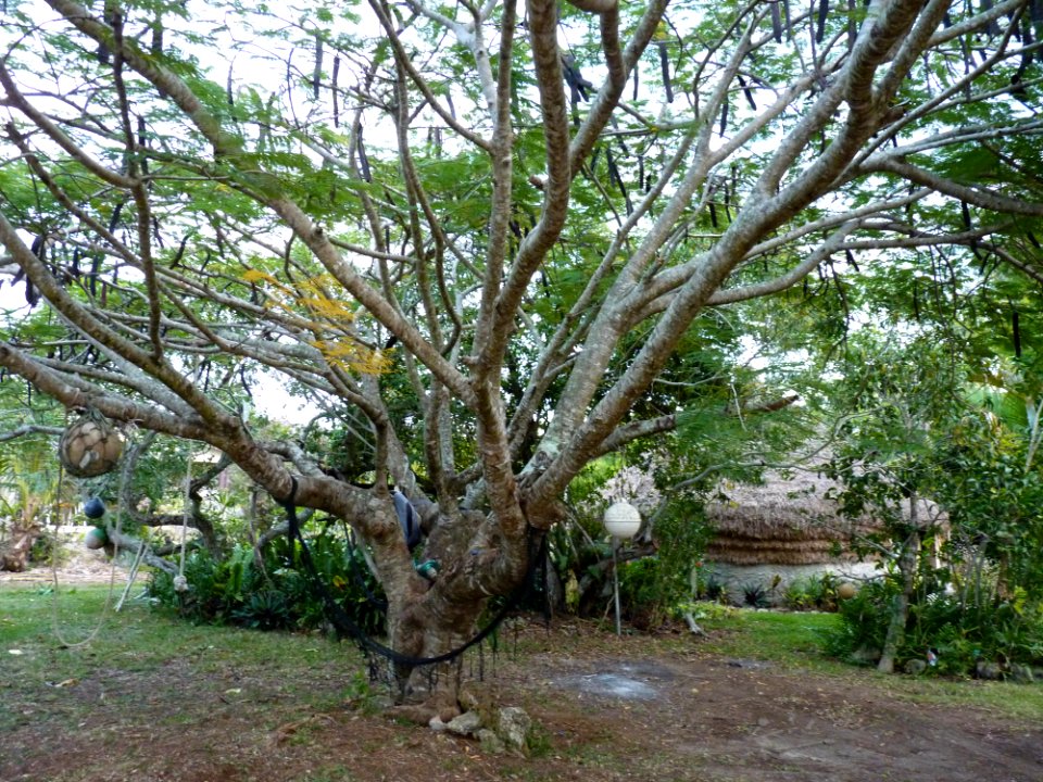 P1110260