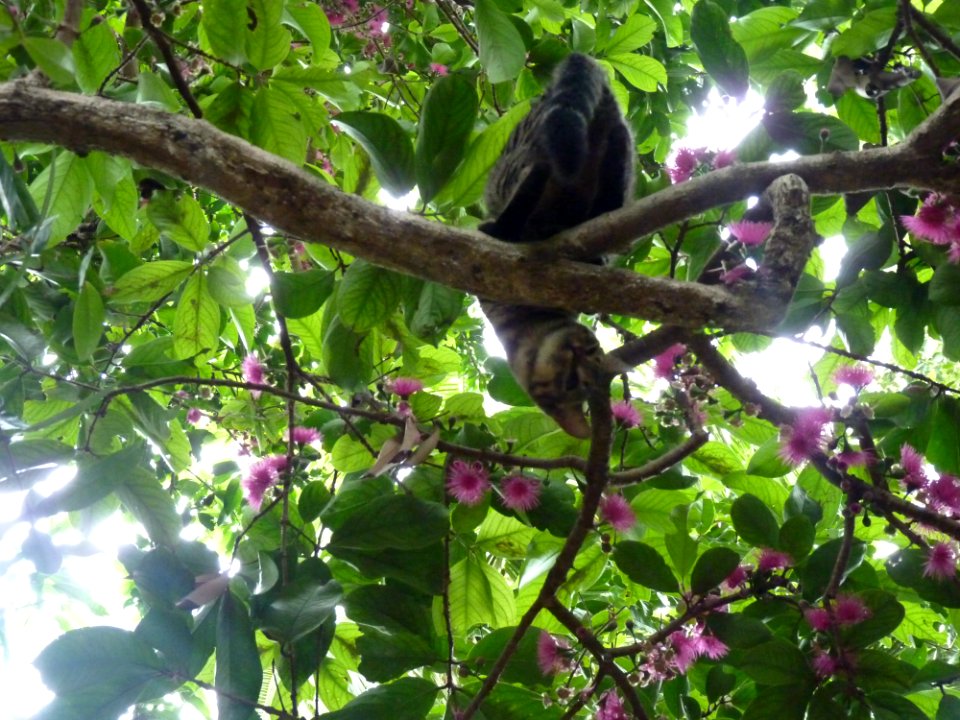 P1110067