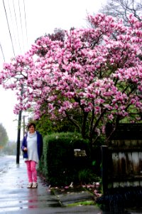 DSC08493-deskew