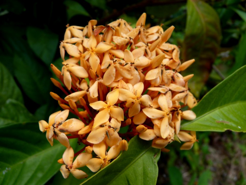 P1110609