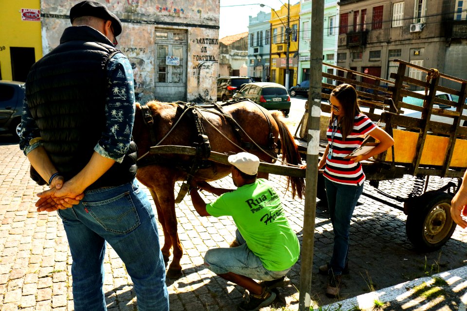 15.03.2019 - Blitz de Apreensão de Cavalos - Foto Michel Corvello